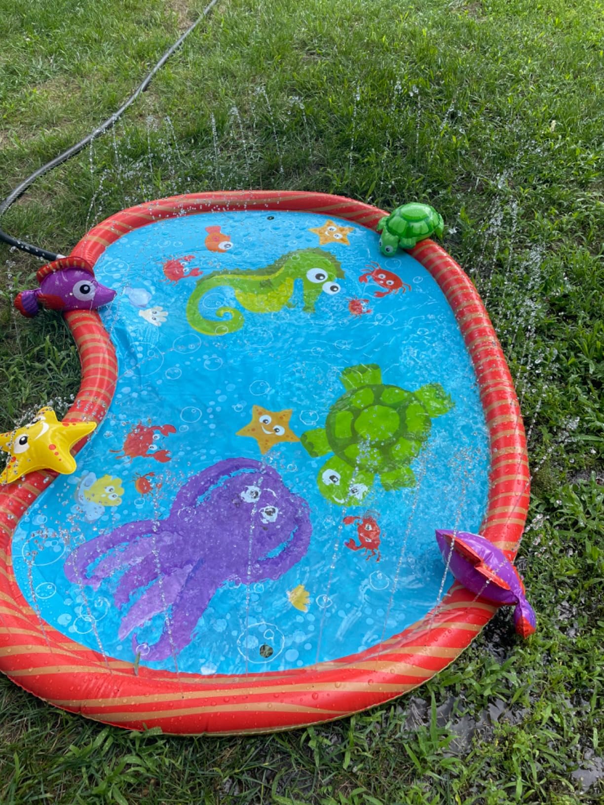 BANZAI Splash Pad Toddler Water Play Mat, 58 in Outdoor Kids Sprinkler Mat with 3D Sea Characters, Baby Splash Pad for Backyard Summer Fun customer photo 1