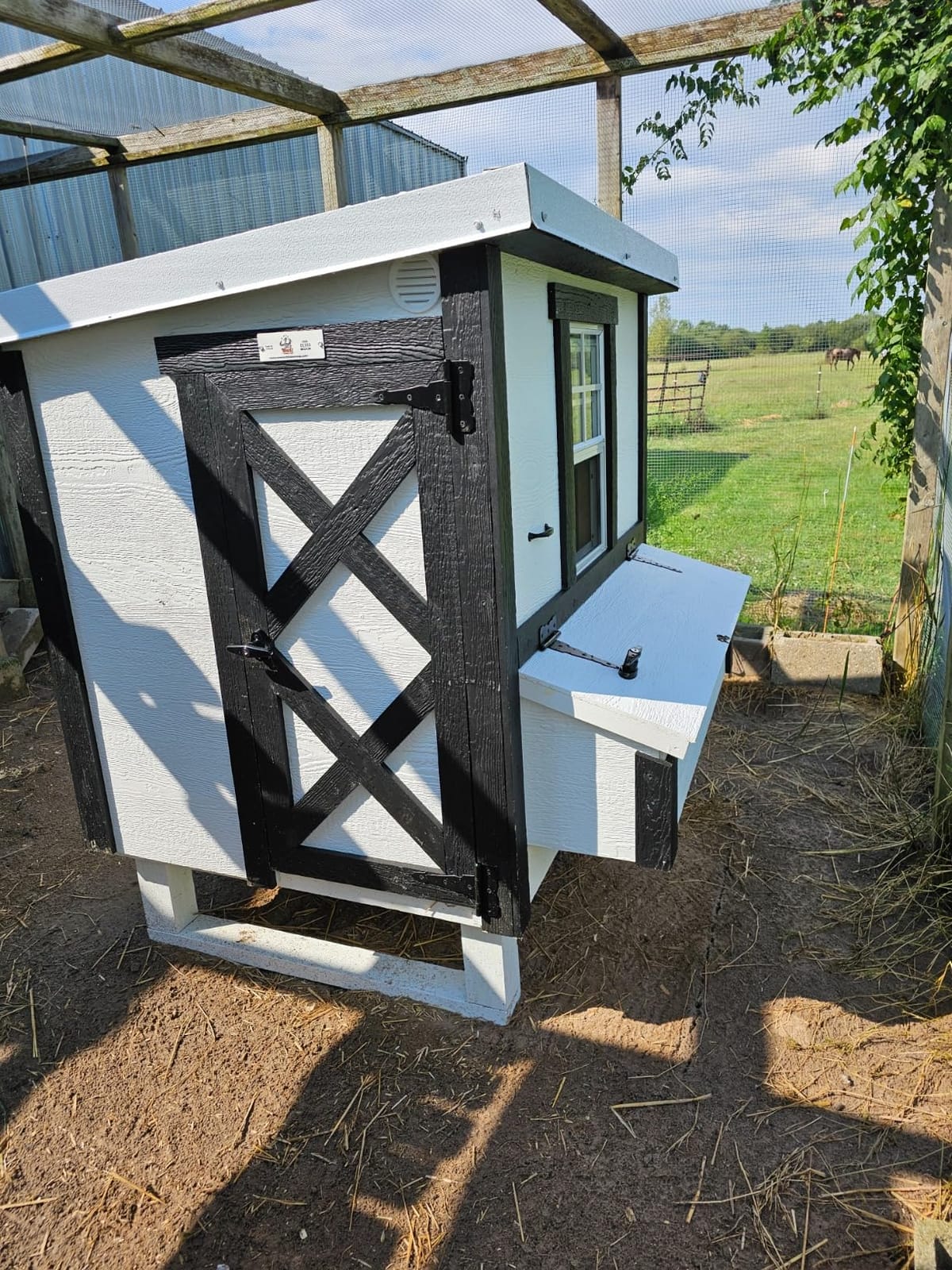 OverEZ Classic Medium Chicken Coop for up to 10 Chickens - Nesting Box - Large Bird, Poultry and Hen House, Made in USA customer photo 2