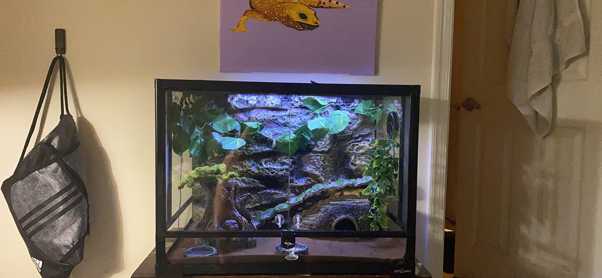 REPTI ZOO 34 Gallon Large Reptile Glass Terrarium Tank with Foam Backgrounds,Double Hinge Door with Screen Ventilation Reptile Terrarium 24