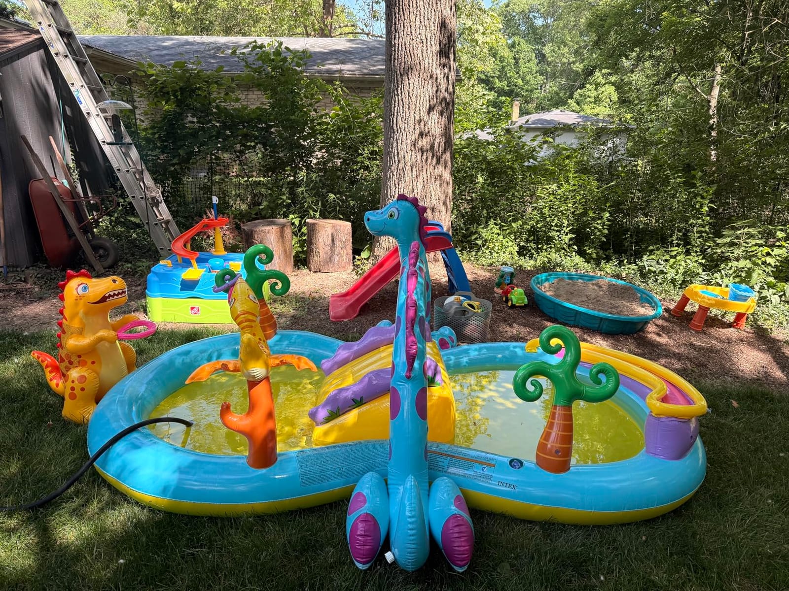INTEX Jungle Adventure Inflatable Water Slide Park & Kiddie Swimming Pool customer photo 2
