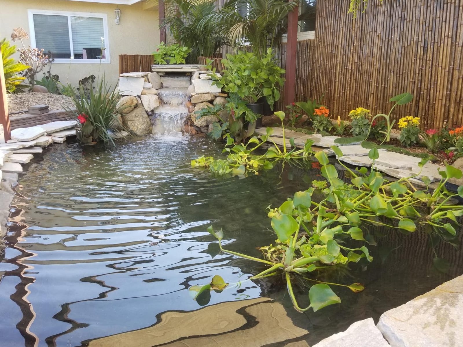HALF OFF PONDS Complete Pro 5200 GPH Pond Kit 20 x 25 Ft EPDM Liner customer photo 1