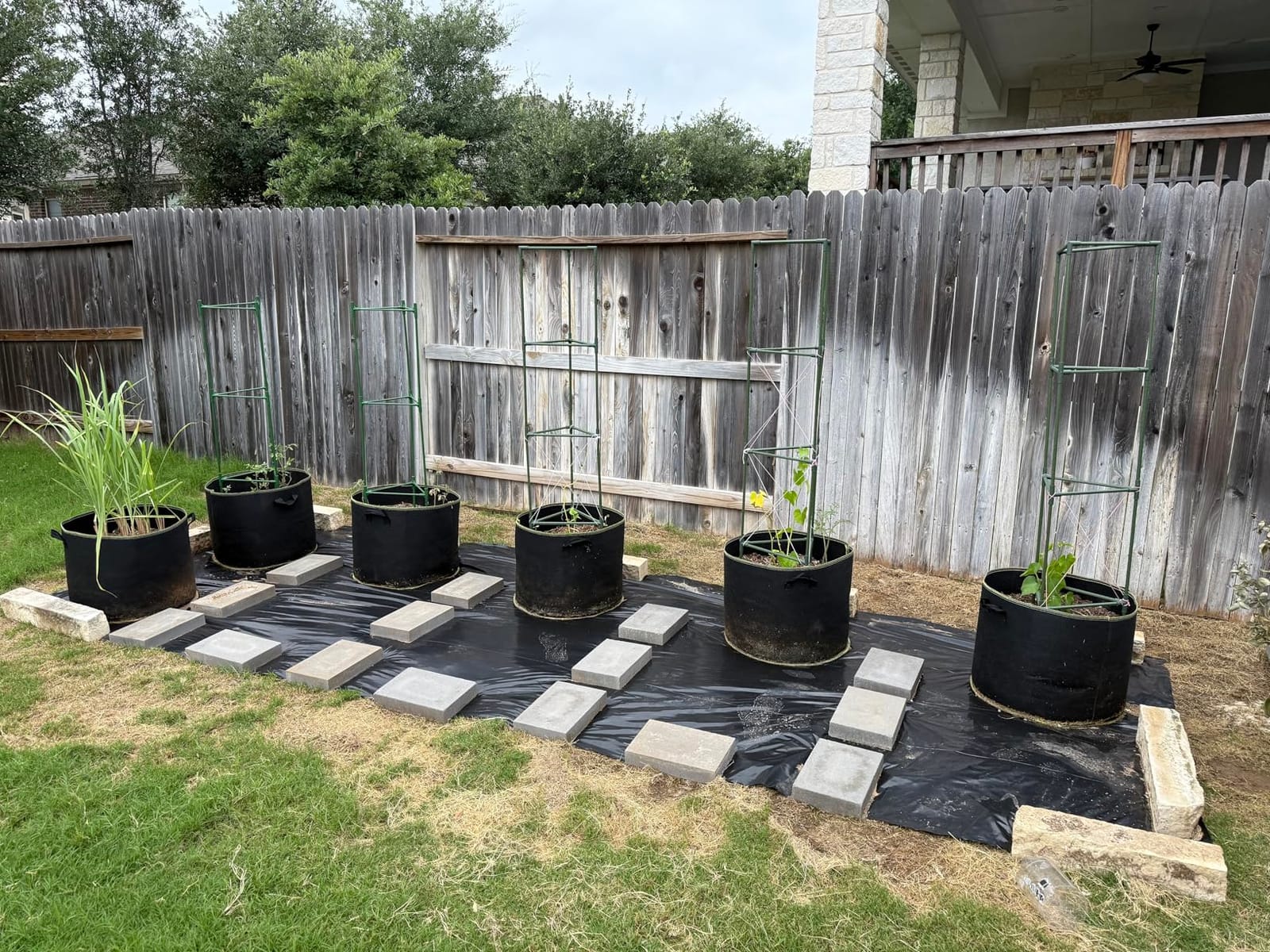 Delxo Garden Grow Bags 10-Pack 5 Gallon Heavy Duty Non-Woven Plant Growing Bags with Handles Fabric Pots Breathable Drainage Planters for Planting Vegetables, Flower, Fruits (Black) customer photo 2