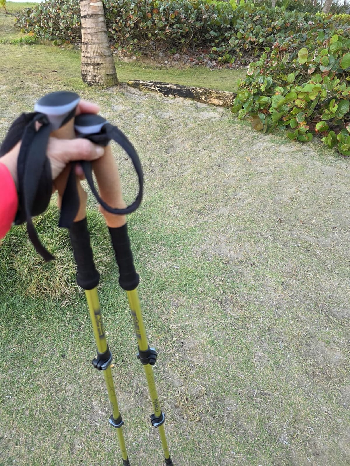 Foxelli Trekking Poles – Lightweight Collapsible Aircraft Grade Aluminum Hiking Poles with Cork Grips Quick Locks & All-Terrain Accessories – Pair of 2 customer photo 1