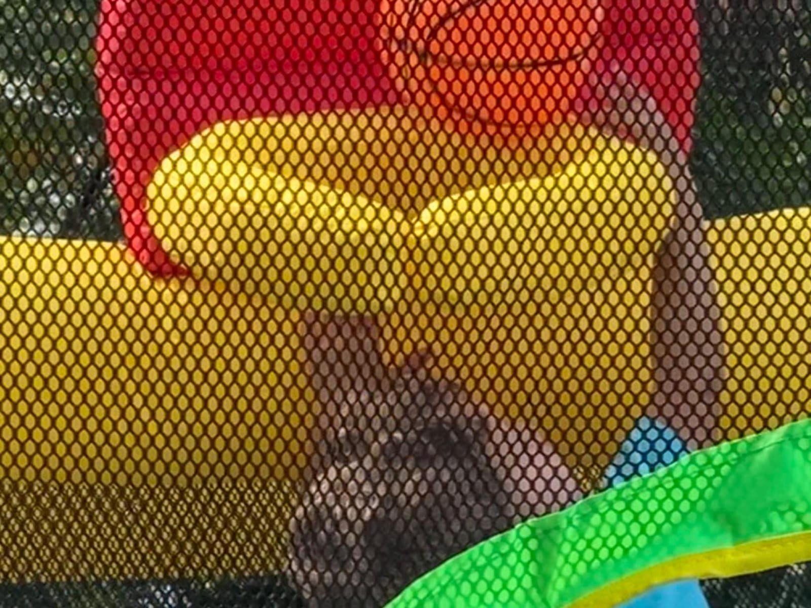 WELLFUNTIME Inflatable Bounce House,Jumping Castle Slide with Blower,Kids Bouncer with Ball Pit customer photo 2