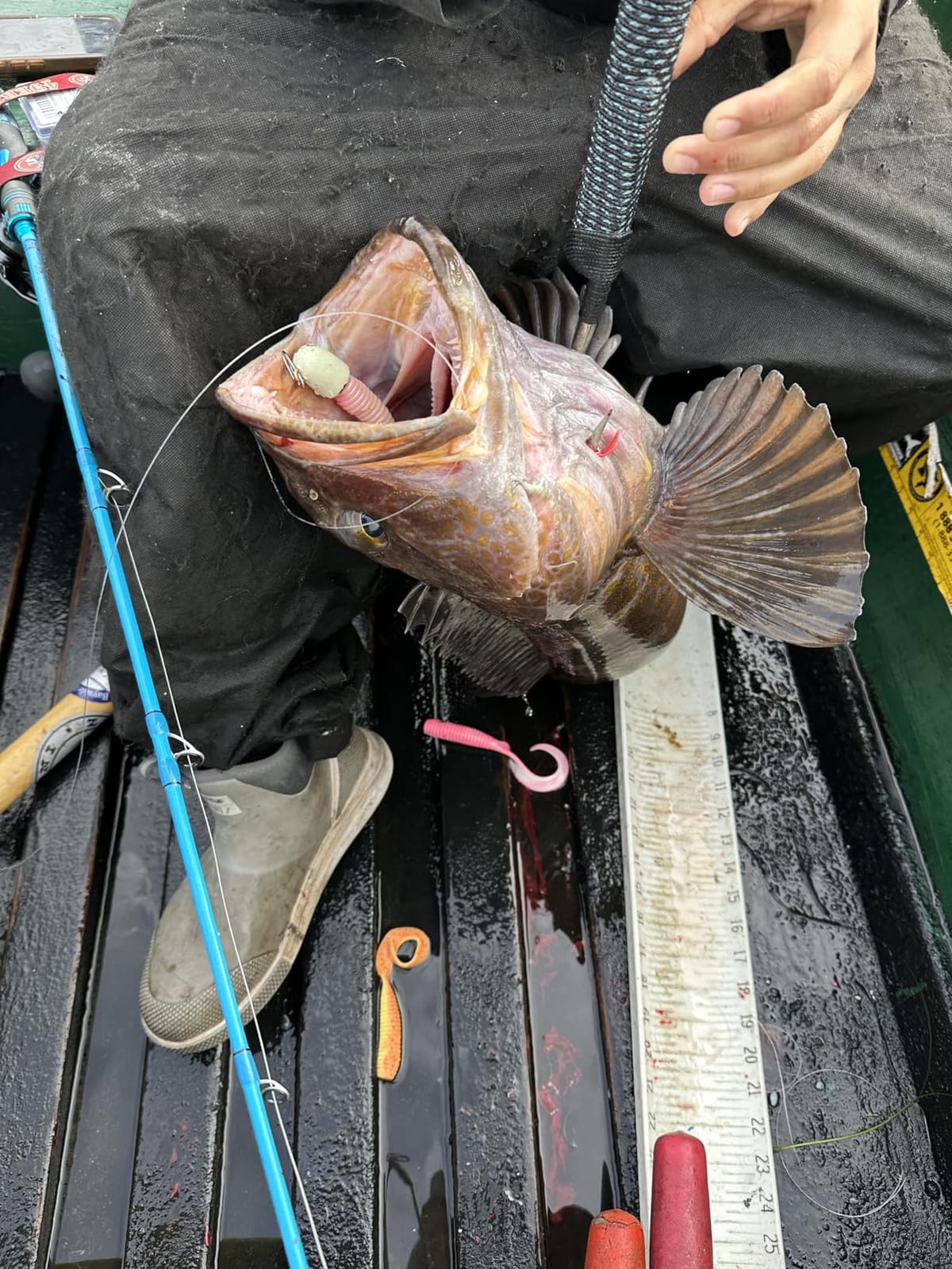 Berkley Gulp! Grub Saltwater Fishing Soft Bait customer photo 2
