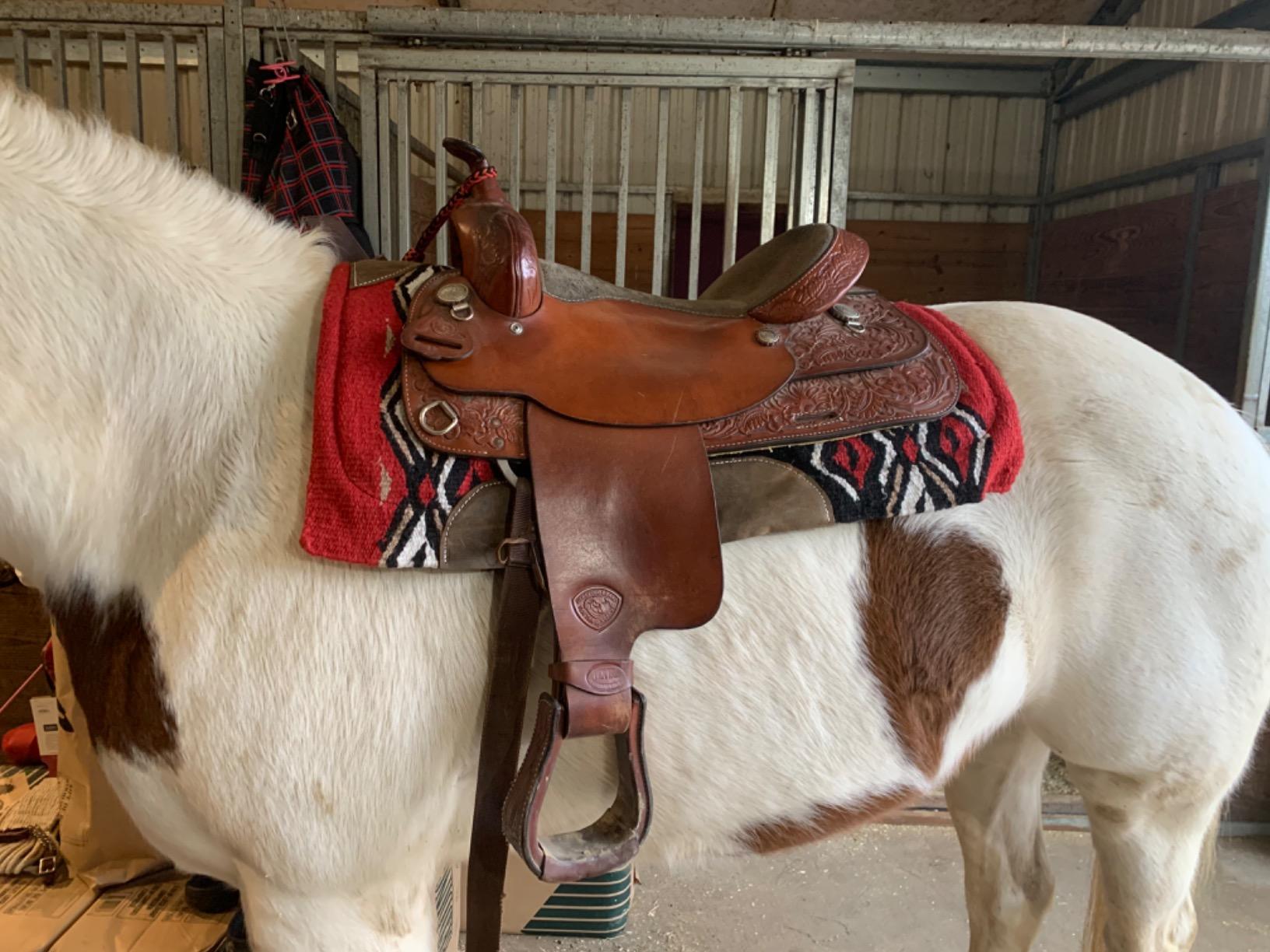 Tough 1 Pachanga Contour Wool Saddle Pad customer photo 2