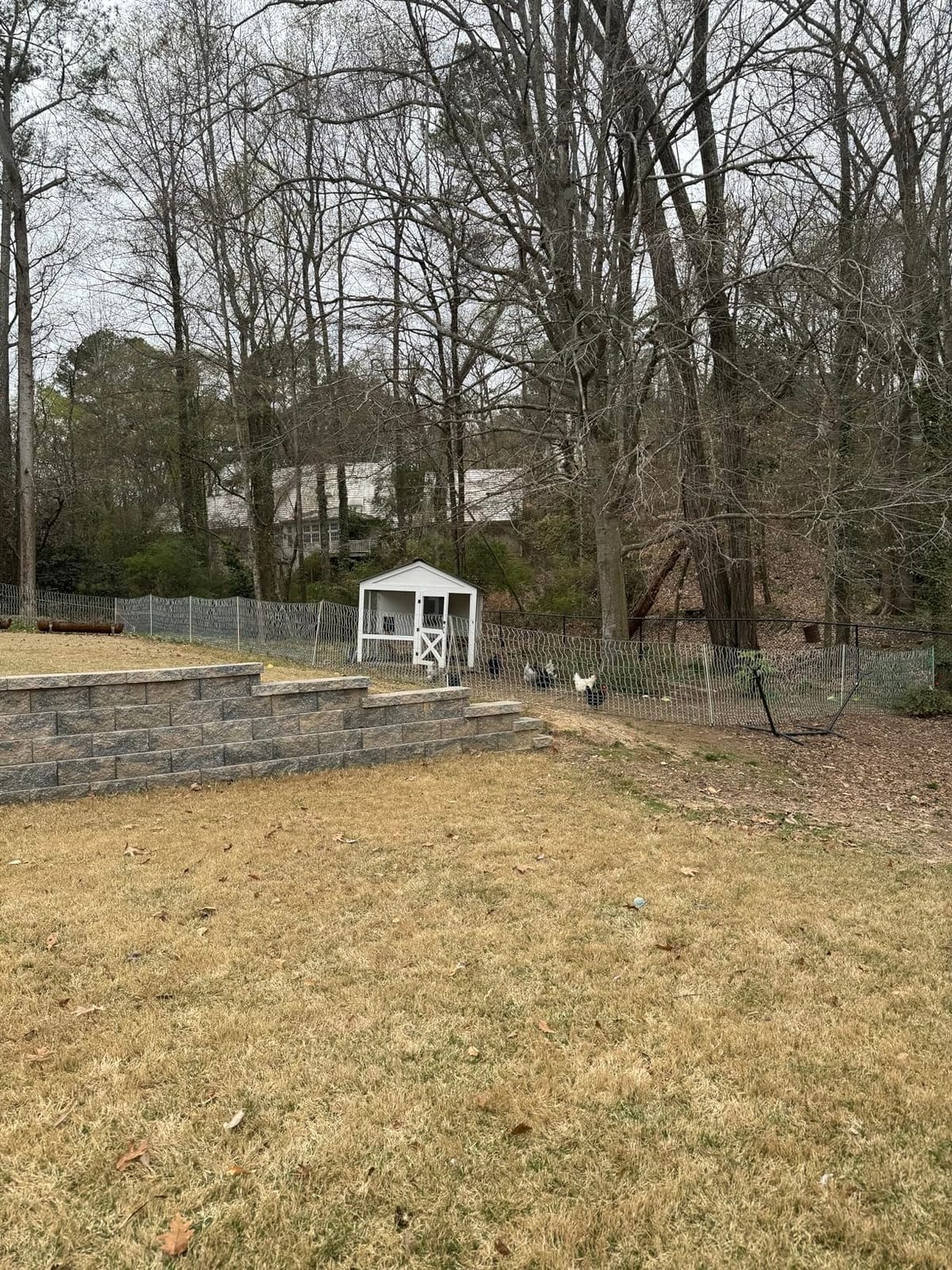 RentACoop Poultry Netting Electric Fence - 48