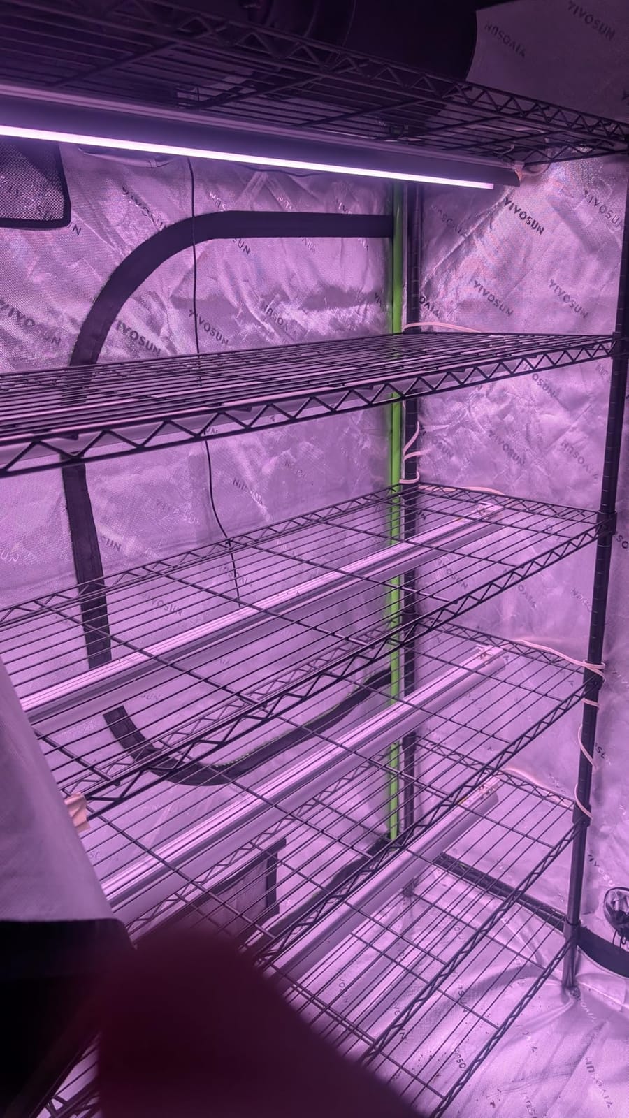 Barrina LED Grow Light, 252W(6 x 42W) 4ft T8, Full Spectrum, Pink, 6 Packs customer photo 2