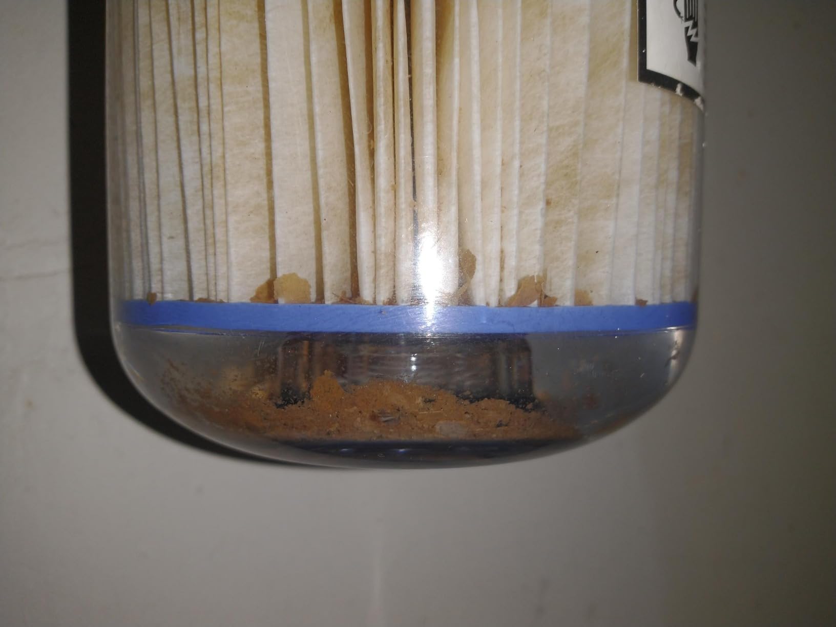 A. O. Smith Whole House Water Filter System | 600K Gal | AO-WH-Filter customer photo 2