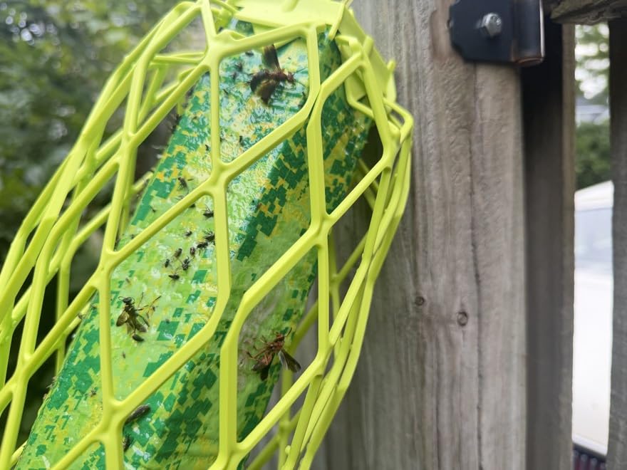 RESCUE! VisiLure® TrapStik for Wasps, Mud Daubers, Carpenter Bees – 2 Pack customer photo 1