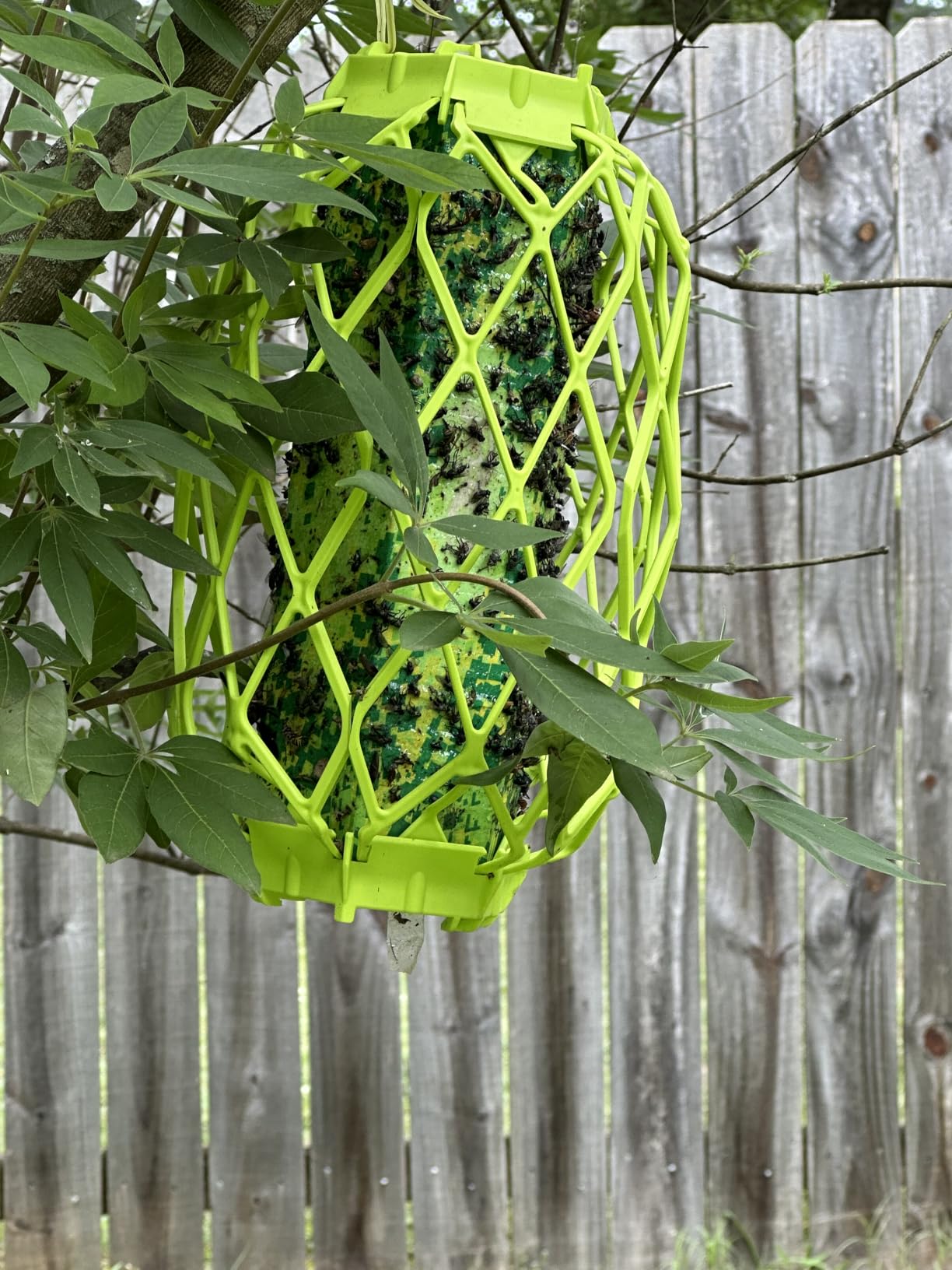 RESCUE! VisiLure® TrapStik for Wasps, Mud Daubers, Carpenter Bees – 2 Pack customer photo 2