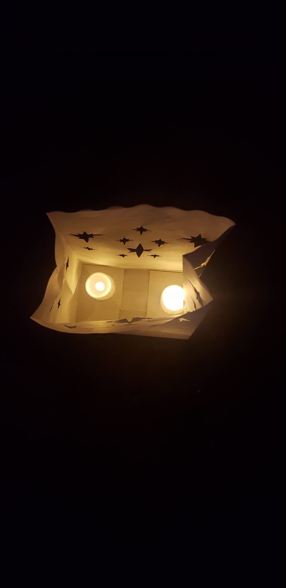 Homemory Christmas 24 Pack Luminary Bags with Flameless LED Tealights customer photo 2