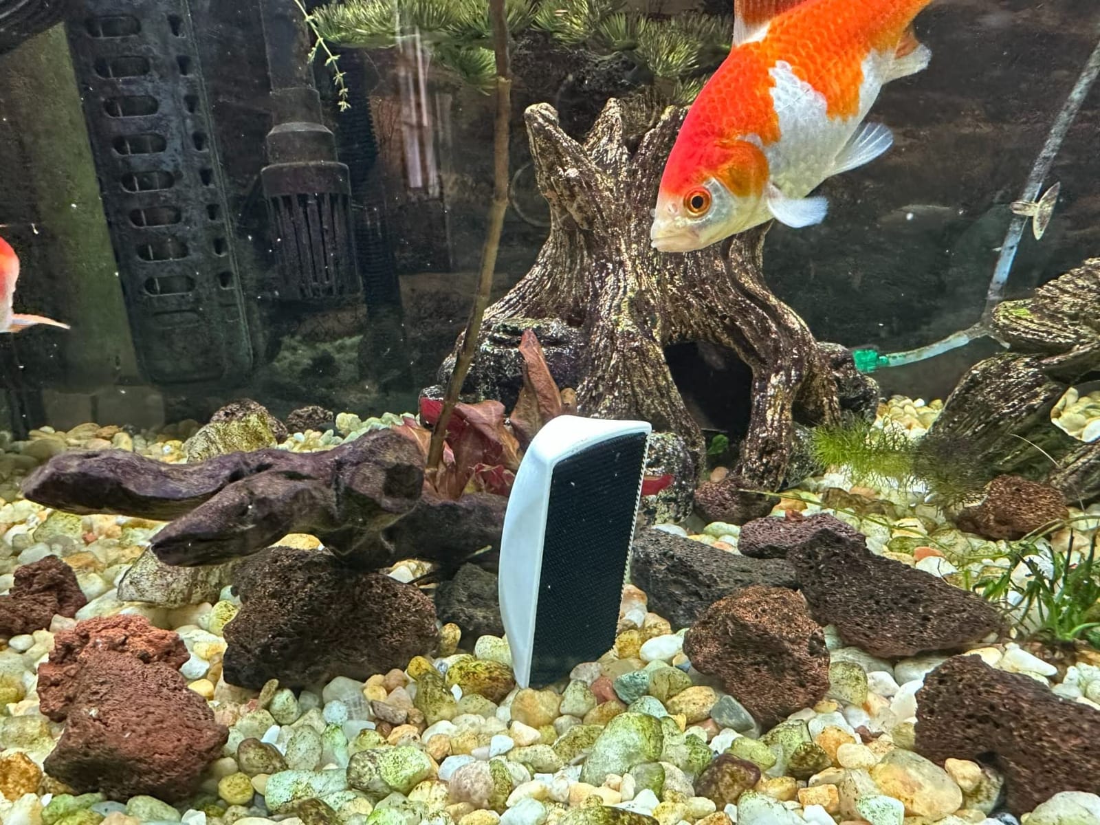 Magnetic Aquarium Fish Tank Glass Algae scrapers Glass Cleaner Scrubber Clean Brush [Floating,Scratch-Free,Non-Slip,magnetizing] S customer photo 1