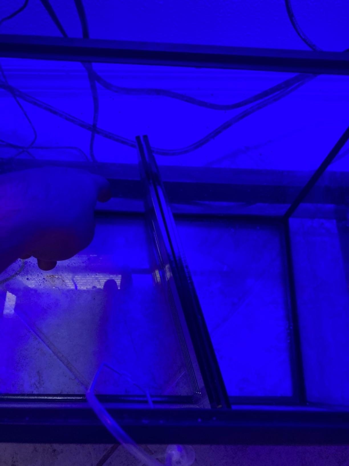 Aquarium Sump Refugium DIY Kit for Protein Skimmer Sump - Chamber dividers (10 Gallon) customer photo 2
