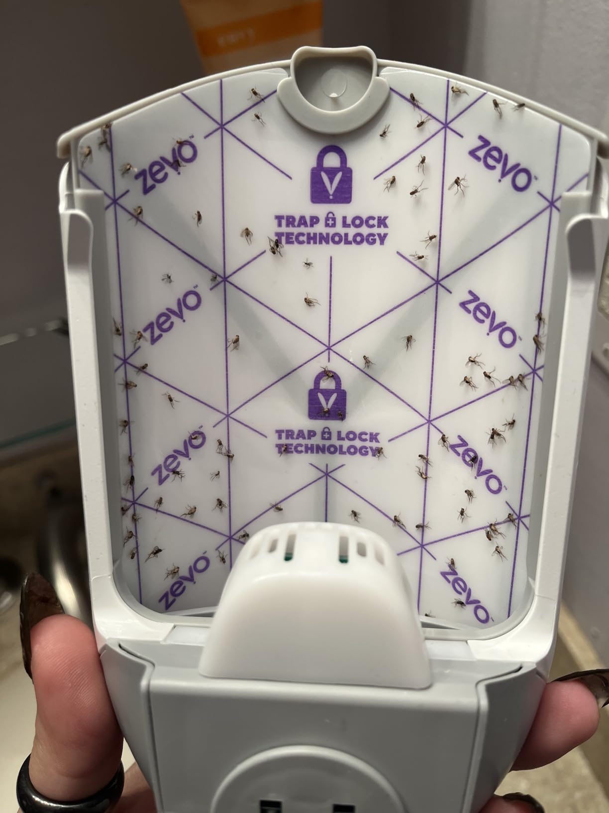 Zevo Flying Insect Trap for Fruit Flies & Gnats, 1 Plug-in Base & 1 Refills customer photo 2