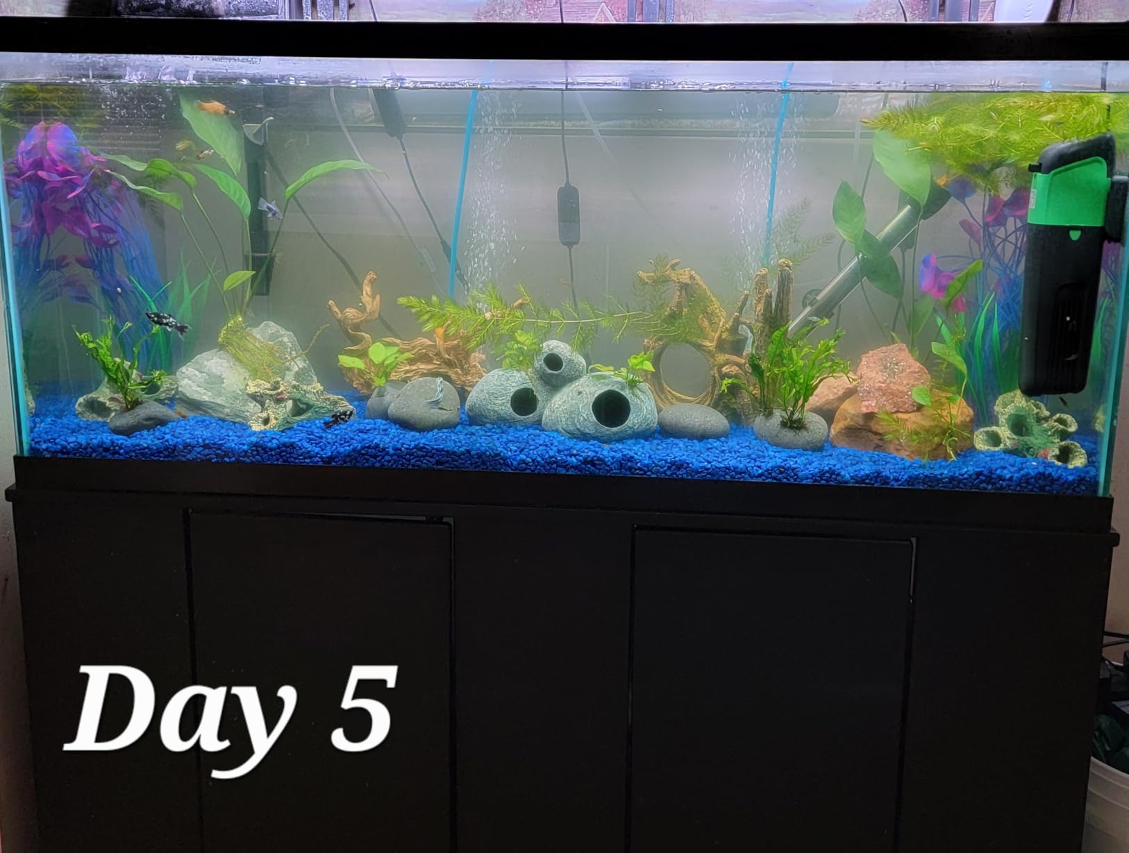 Internal Green Water Killer Aquarium Filter Tank U-V Pump customer photo 1