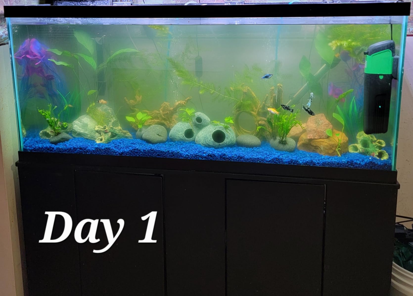 Internal Green Water Killer Aquarium Filter Tank U-V Pump customer photo 2