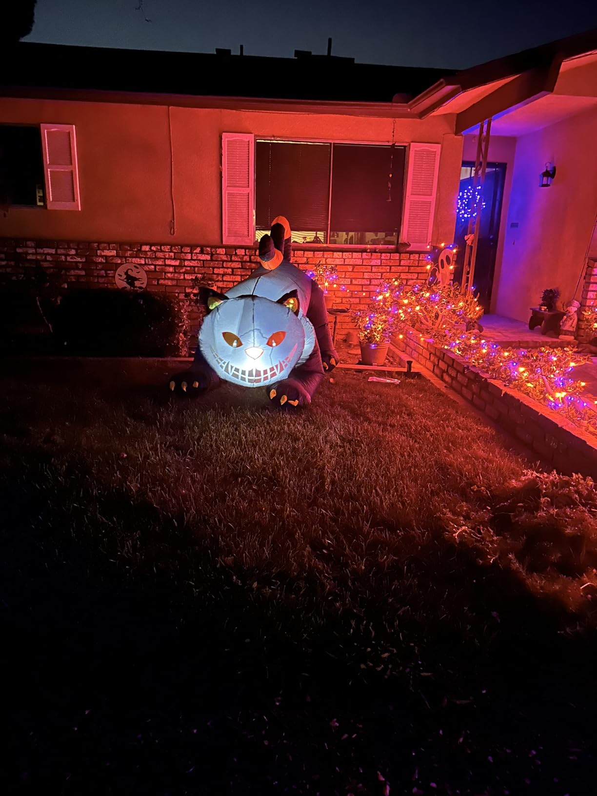 GOOSH 6 FT Halloween Inflatables Outdoor Black Cat with Shakable Head, Blow Up Yard Decoration with LED Lights Built-in for Holiday/Party/Yard/Garden customer photo 1