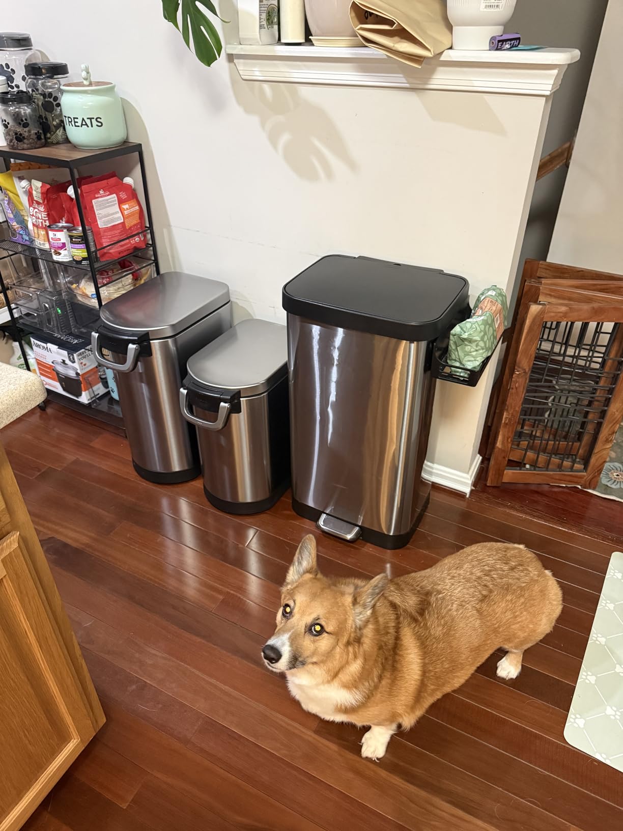 Glad Stainless Steel Trash Can with Clorox Odor Protection, 20 Gal, Pewter customer photo 1