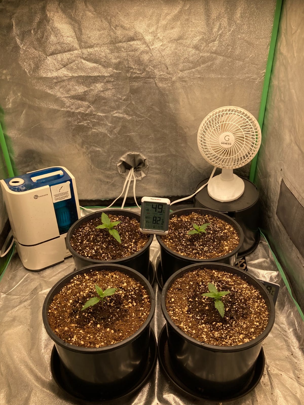 MARS HYDRO 100W TS600 2x2ft Dimmable LED Grow Lights for Indoor Plants customer photo 1