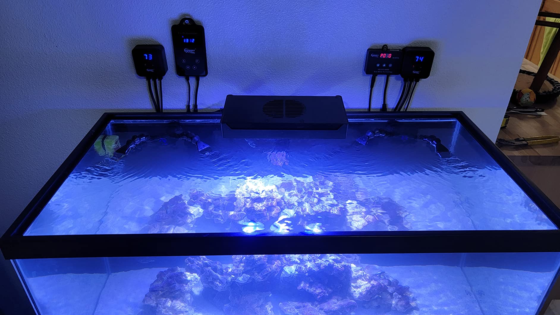 hygger 1060GPH Quiet Submersible and External 24V Water Pump, with Controller (30%-100% Settings), Powerful Return Pump for Fish Tanks, Aquariums, Ponds, Fountains, Sump, Hydroponics (33W, 13.1ft) customer photo 1