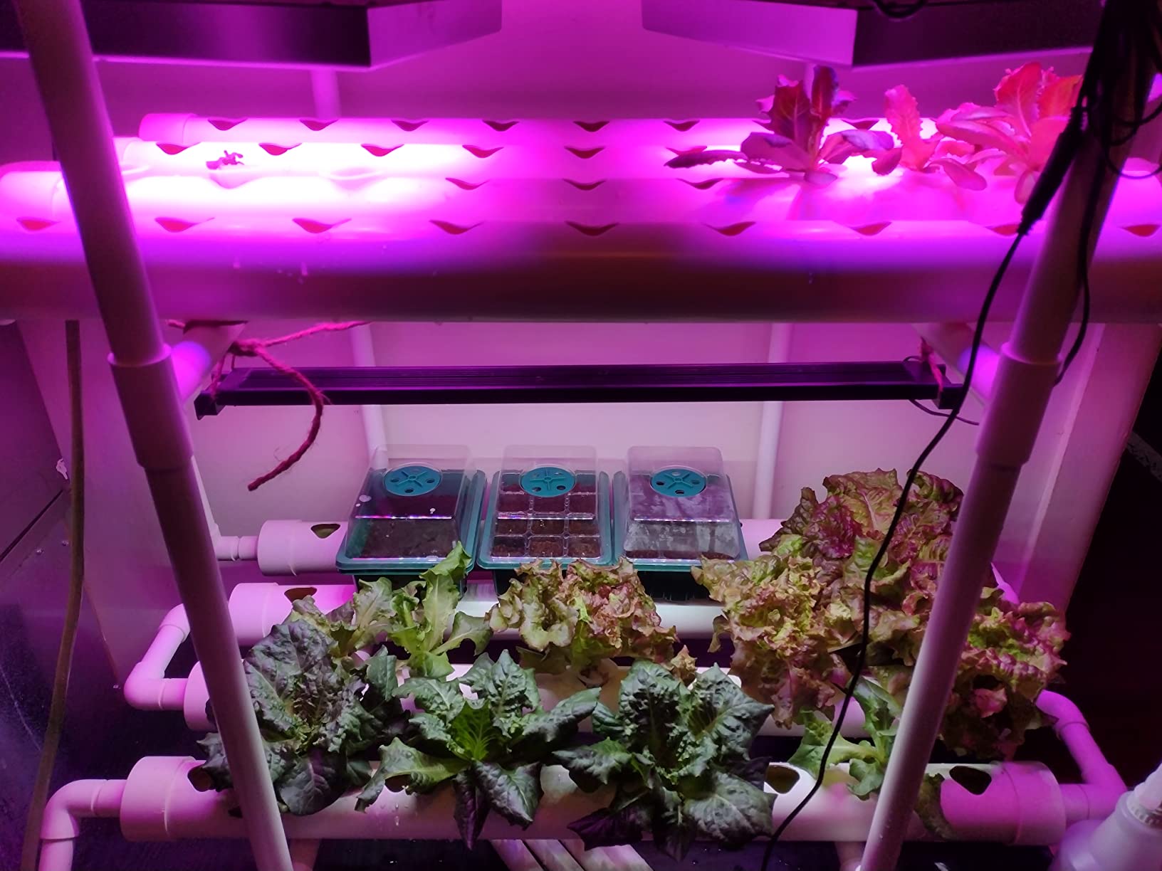 Hydroponic NFT 36 Holes Growing System with Special Fertilizer Timing Cycle, PVC Pipe Garden Plant Kit customer photo 2