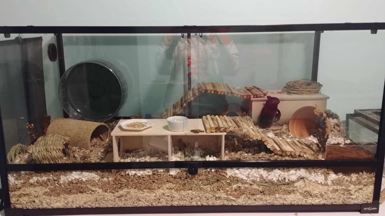 REPTIZOO Large Reptile Terrarium 120 Gallon, Tall & Wide Tempered Glass Reptile Tank 48