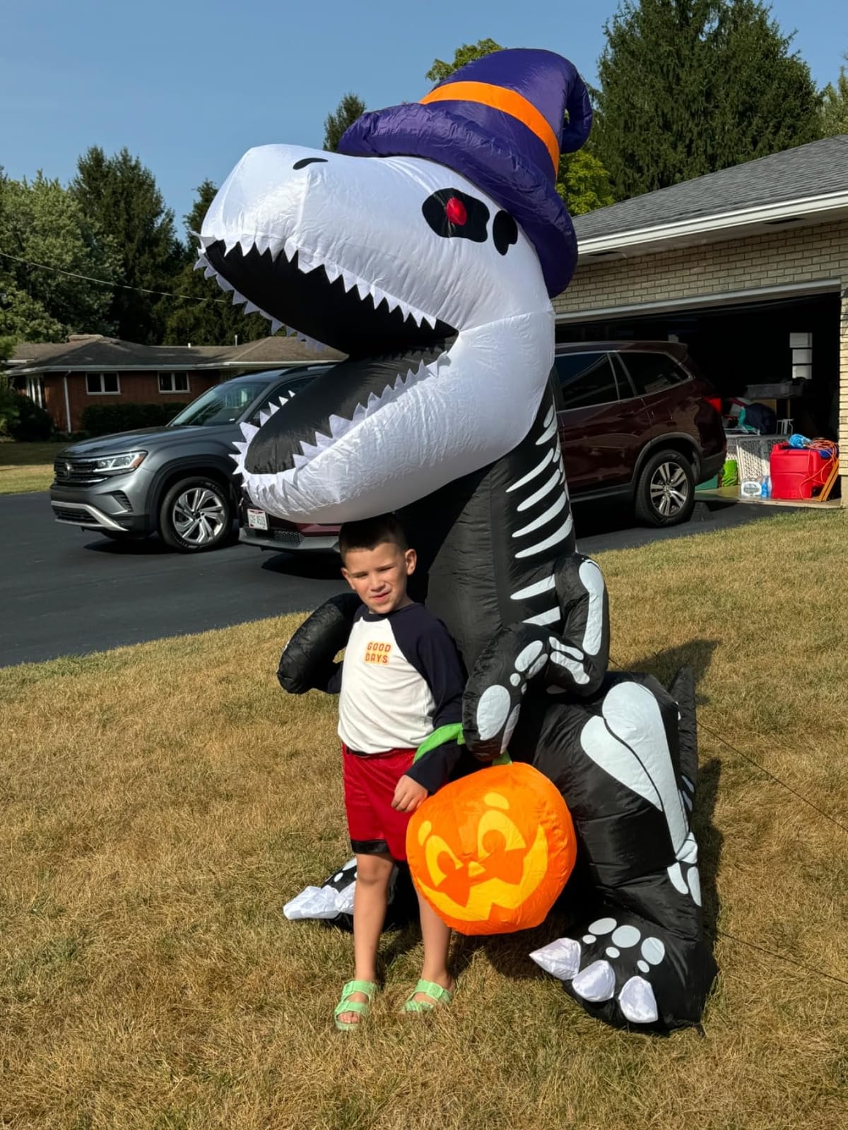 Joiedomi 8 FT Halloween Inflatable Skeleton Dinosaur with Pumpkin & Built-in LEDs, Halloween Blow Up Yard Decorations, Lighted Outdoor Dinosaur Skeleton for Garden, Lawn, Patio & Holiday Outside Decor customer photo 2