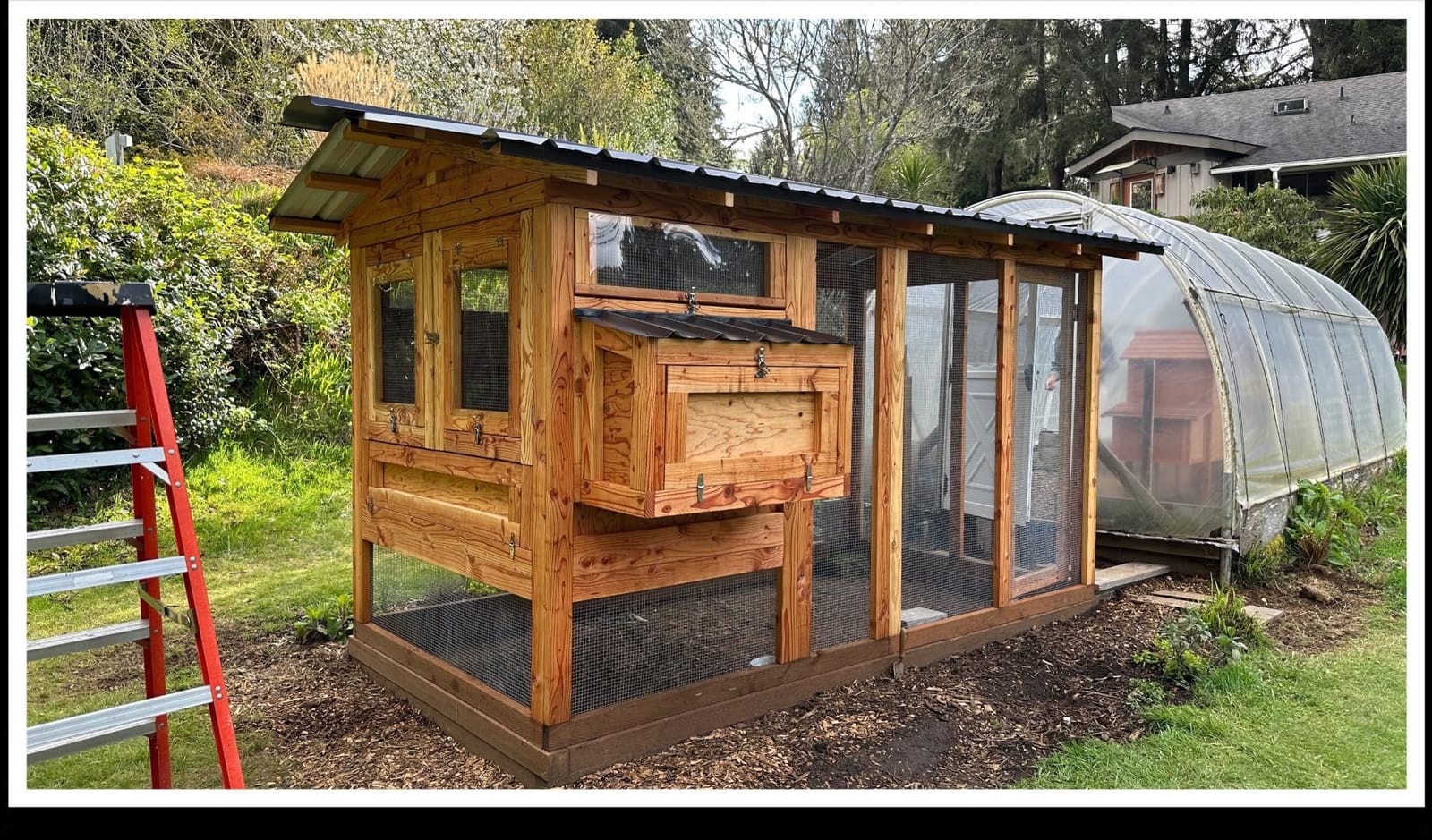 RUN-CHICKEN Door T50 – Automatic Chicken Coop Door Opener, Battery Powered & Weatherproof Aluminum, Smart App & Timer Control, Predator Proof, Easy Install, Reliable All-Season Performance (Brown) customer photo 2