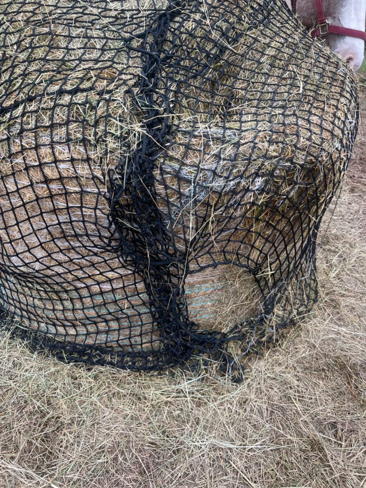 Aoneky Bale Hay Net -Average Feed Haynet for Horses - 6 x 6 ft / 5 x 5 ft customer photo 2