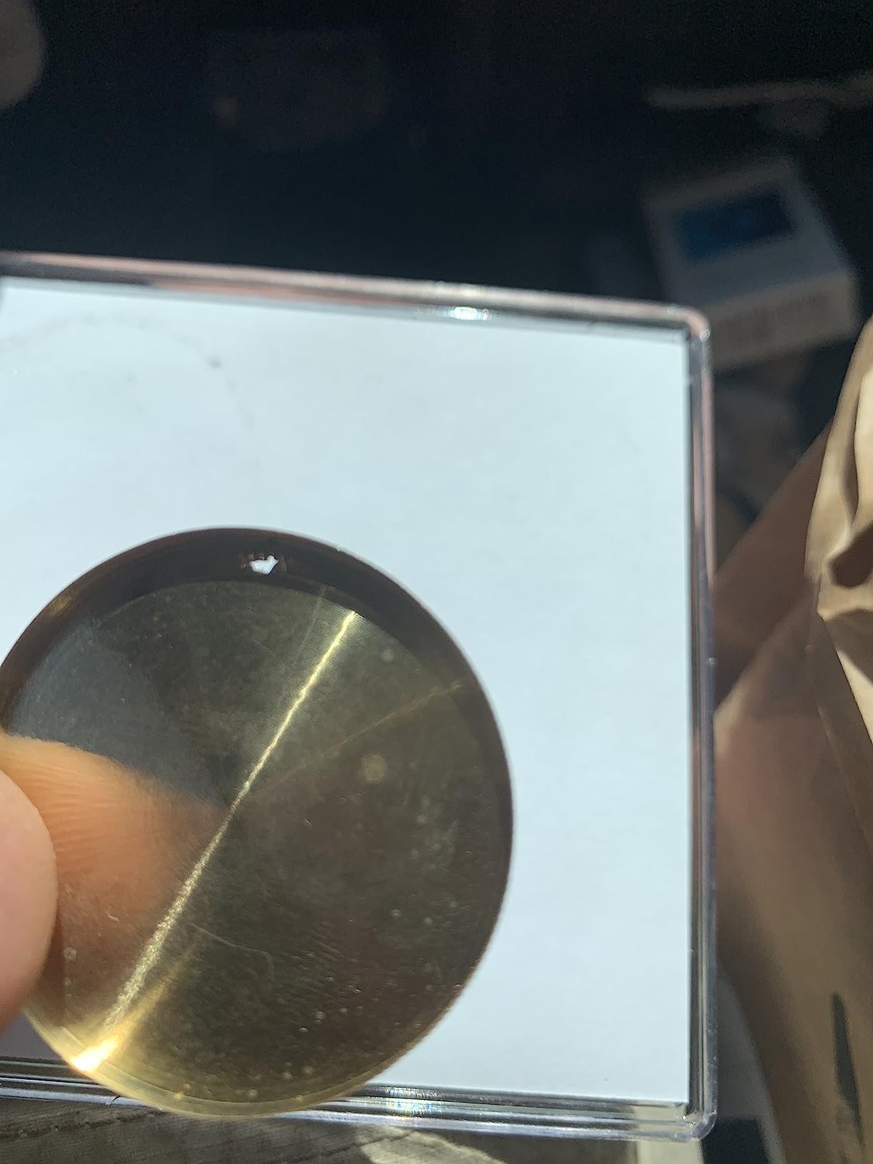 blue-ther Morgan Dollar Shell and Coin Set (5 Coin +1 Head Shell+1 Tail Shell) Magic Coin Magic Tricks Illusions Close up Fun customer photo 1