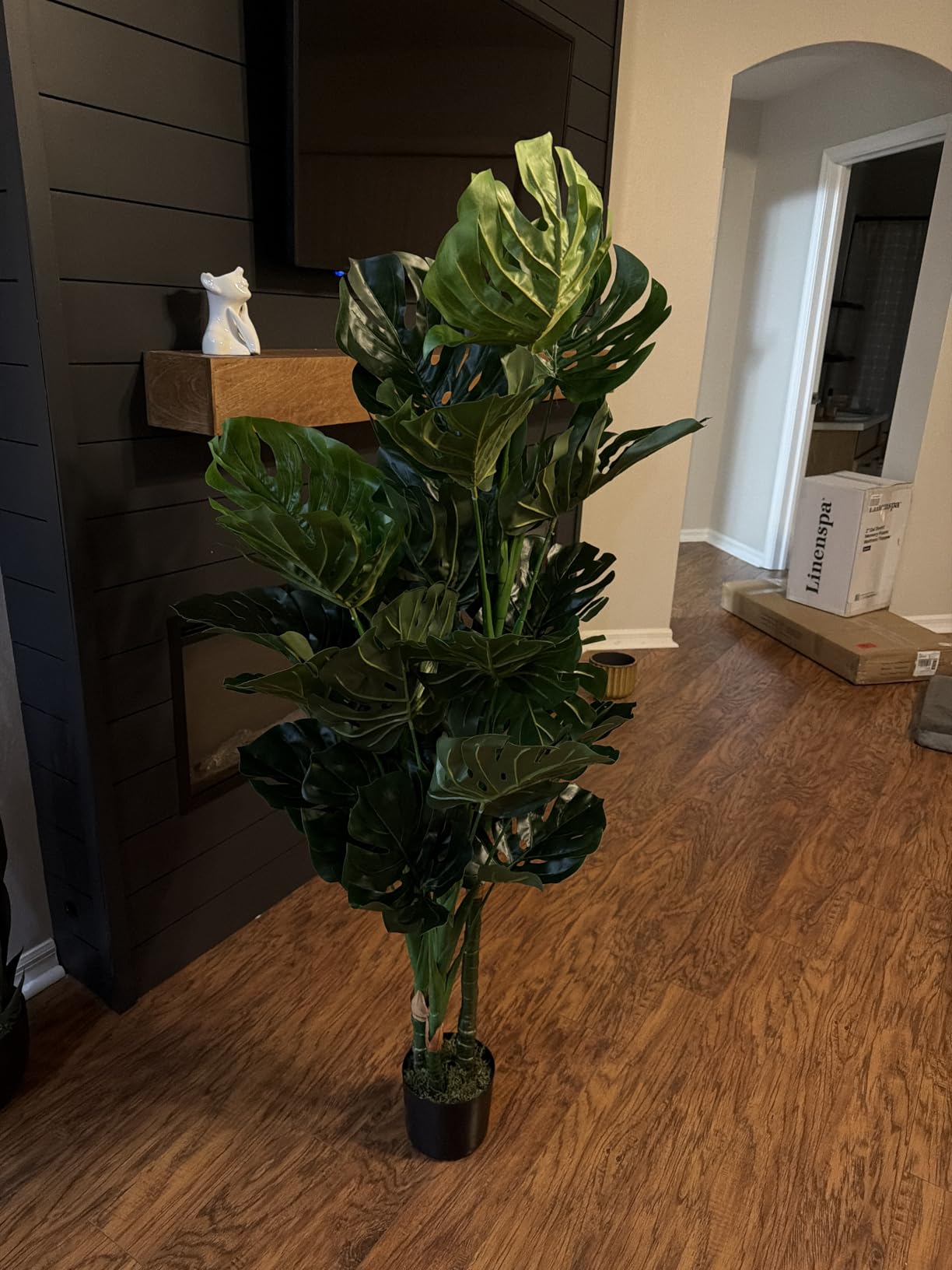 Aveyas 54'' Tall Large Artificial Monstera Deliciosa Plants, 4.5 Feet Faux Swiss Cheese Floor Plants Fake Tropical Silk Tree with Pot for Indoor Outdoor Office House Living Room Home Decor customer photo 1