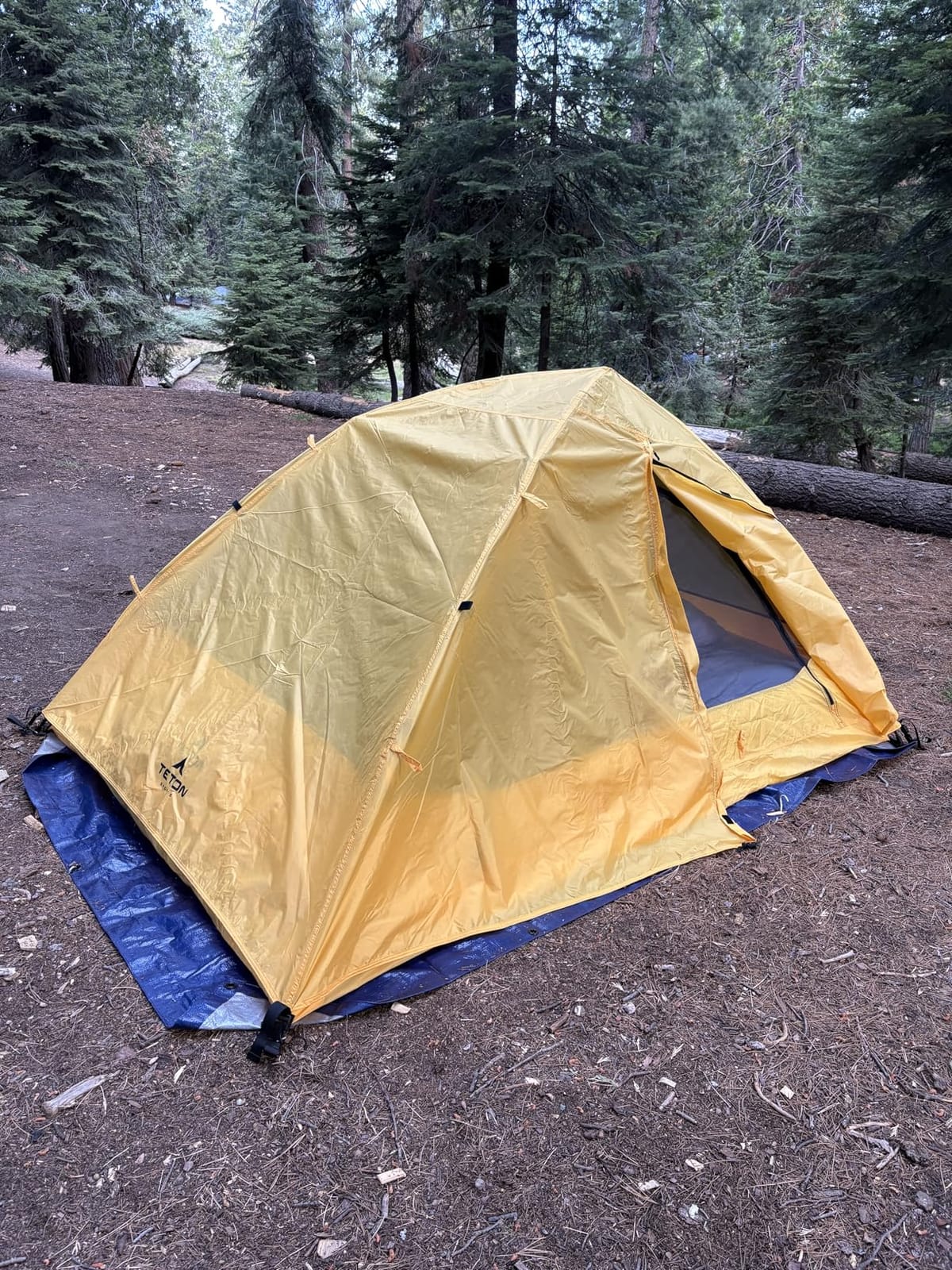 Teton Sports Vista Quick Tent; Dome Camping and Backpacking Tent; Easy Instant Setup; Clip-On Rainfly Included customer photo 2