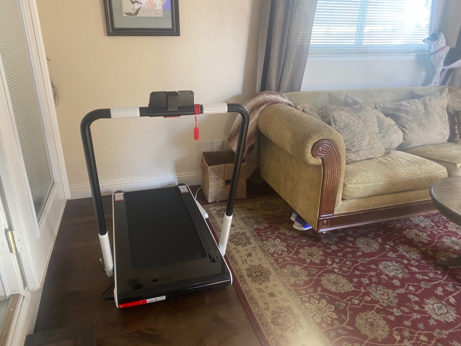 GYMAX Walking Pad, 2 in 1 Free Installation Under Desk Treadmill with Smart App, Remote Control & LED Display, 2.25HP Foldable Portable Compact Running Machine for Small Spaces Home Office customer photo 2