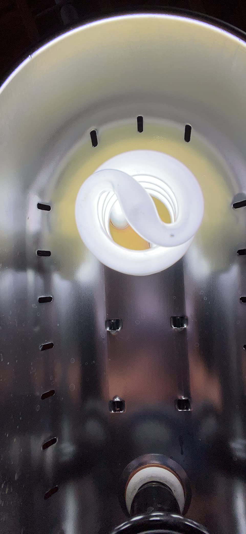 LUCKY HERP UVA UVB Reptile Light 10.0, Desert UVB 150 Compact Fluorescent Lamp, UVB Light for Reptiles 23W, UVA UVB Reptile Light Bulb, UVB Bulb for Reptiles Bearded Dragons Lizards Tortoises Snakes customer photo 2