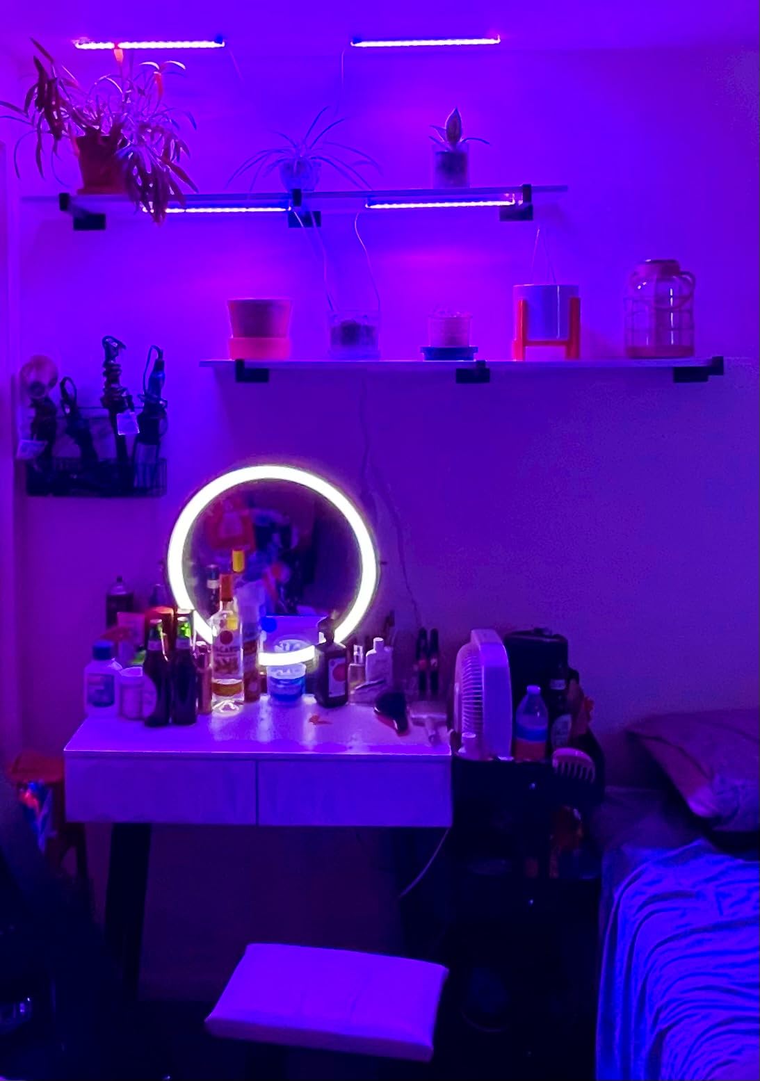 LED Plant Grow Light Strip Full Spectrum for Indoor Plant with Timer customer photo 2