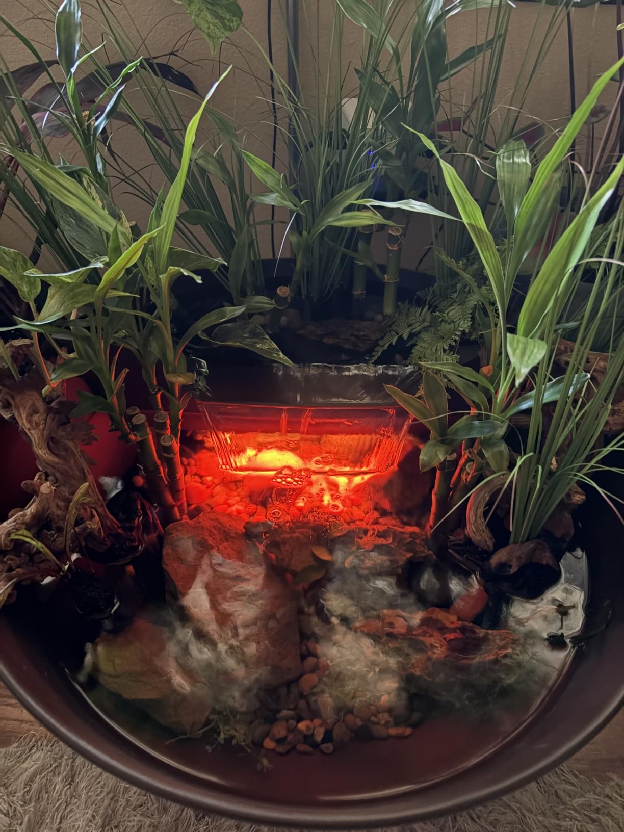 Aquascape AquaGarden Mini Pond Kit customer photo 1