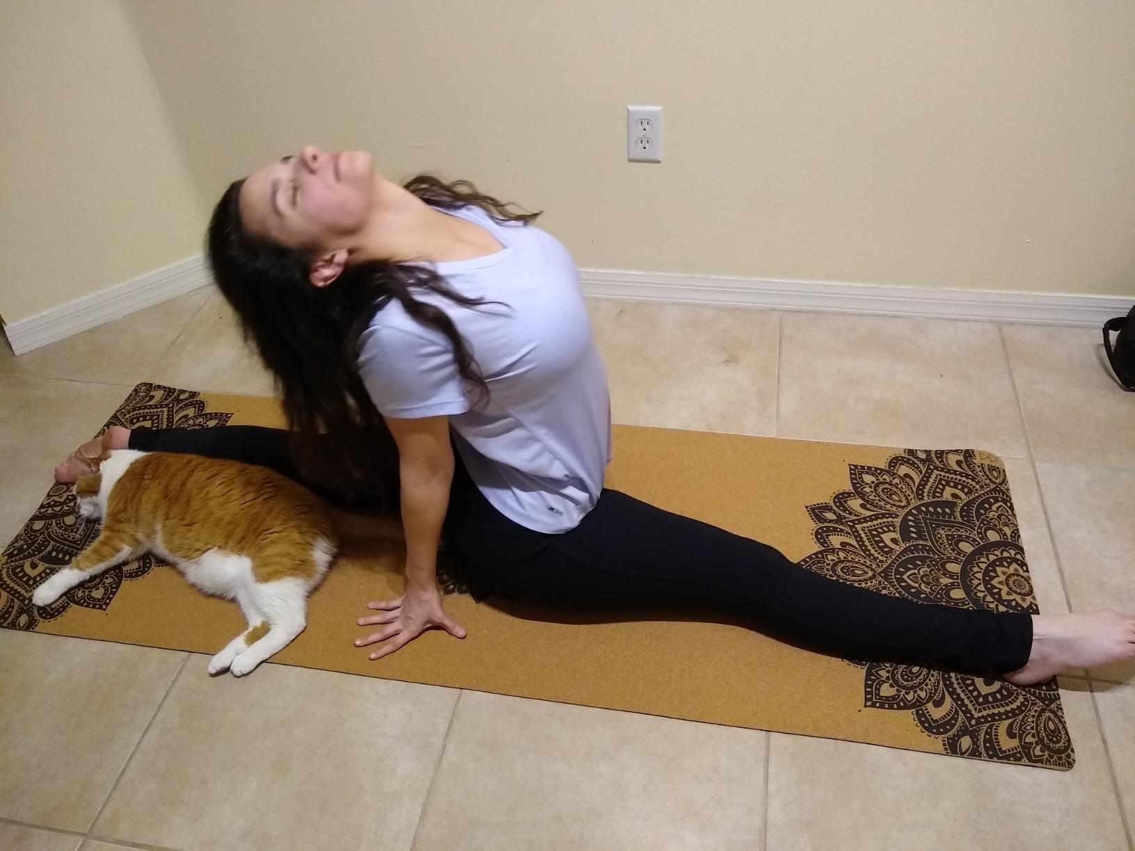 YOGA DESIGN LAB | The Cork Yoga Mat | Eco Luxury | Ideal for Hot Yoga, Power, Bikram, Ashtanga, Sweaty Workouts | Studio Quality | Includes Carrying Strap! customer photo 2