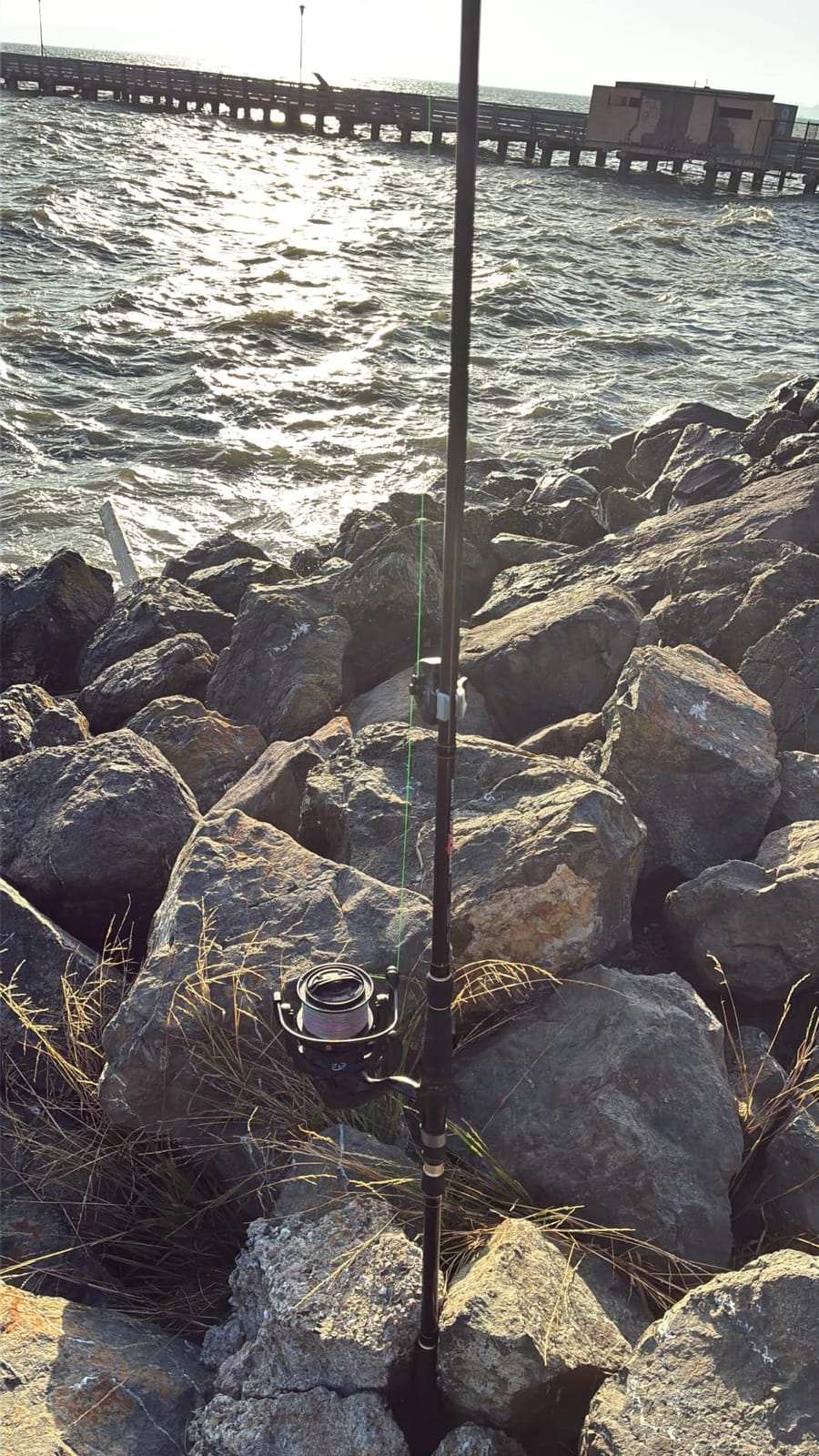 BERRYPRO Light Surf Spinning Rod Striper Fishing Rod Striped Bass surf Rod customer photo 2