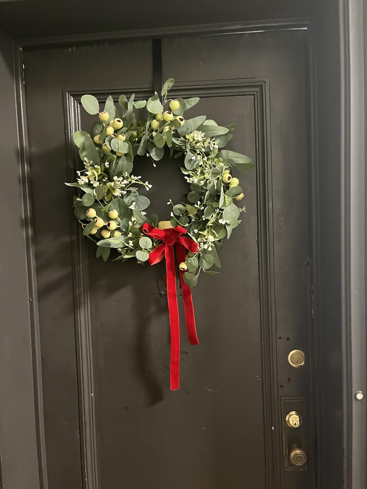 JINGHONG Eucalyptus Wreaths for Front Door 20 Inch Green Home Decor for Wall Porch Window Spring Summer Wreath with Big Berries for All Seasons Winter Christmas customer photo 2