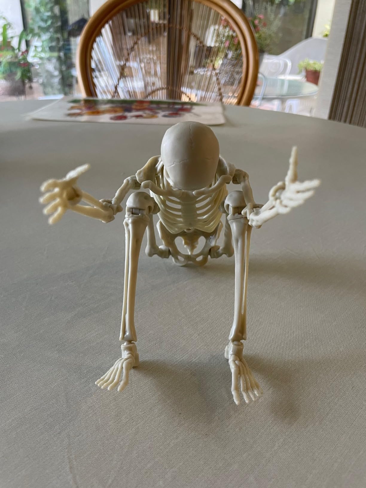 Be Amazing! Toys Interactive Human Body Anatomy Figure, 60 Pieces, Ages 8+ customer photo 1