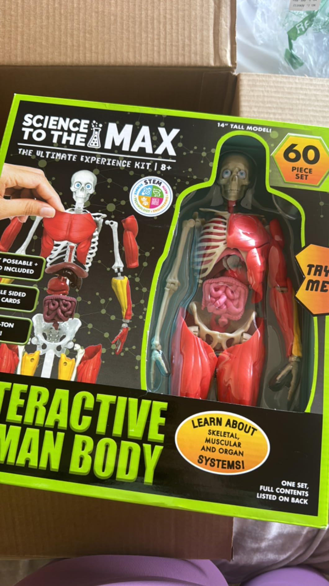 Be Amazing! Toys Interactive Human Body Anatomy Figure, 60 Pieces, Ages 8+ customer photo 2