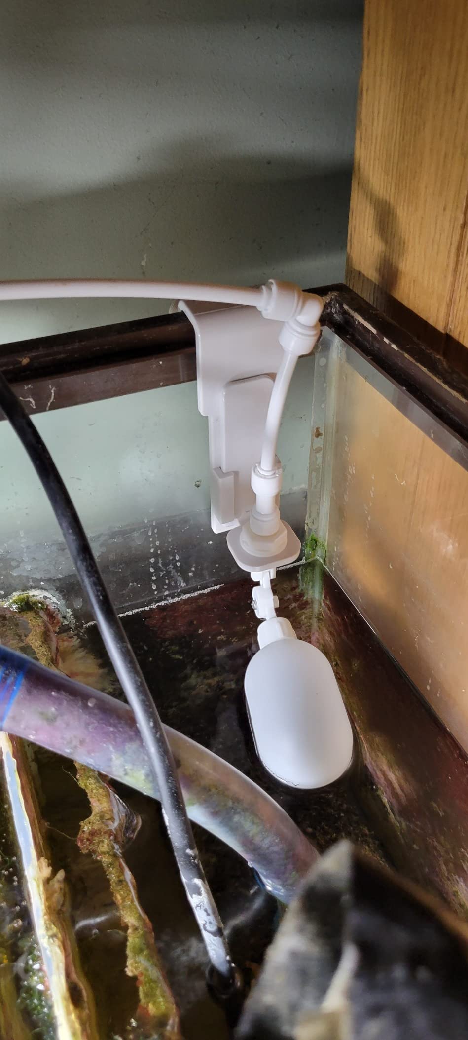 MALIDA Auto Water Filler Power Free Water Level Controller Auto-top-Off Automatic Marine Aquarium Water Changer with Float Valve, Vacuum Water Flow Regulator and Controller Perfect for Adding Water. customer photo 1