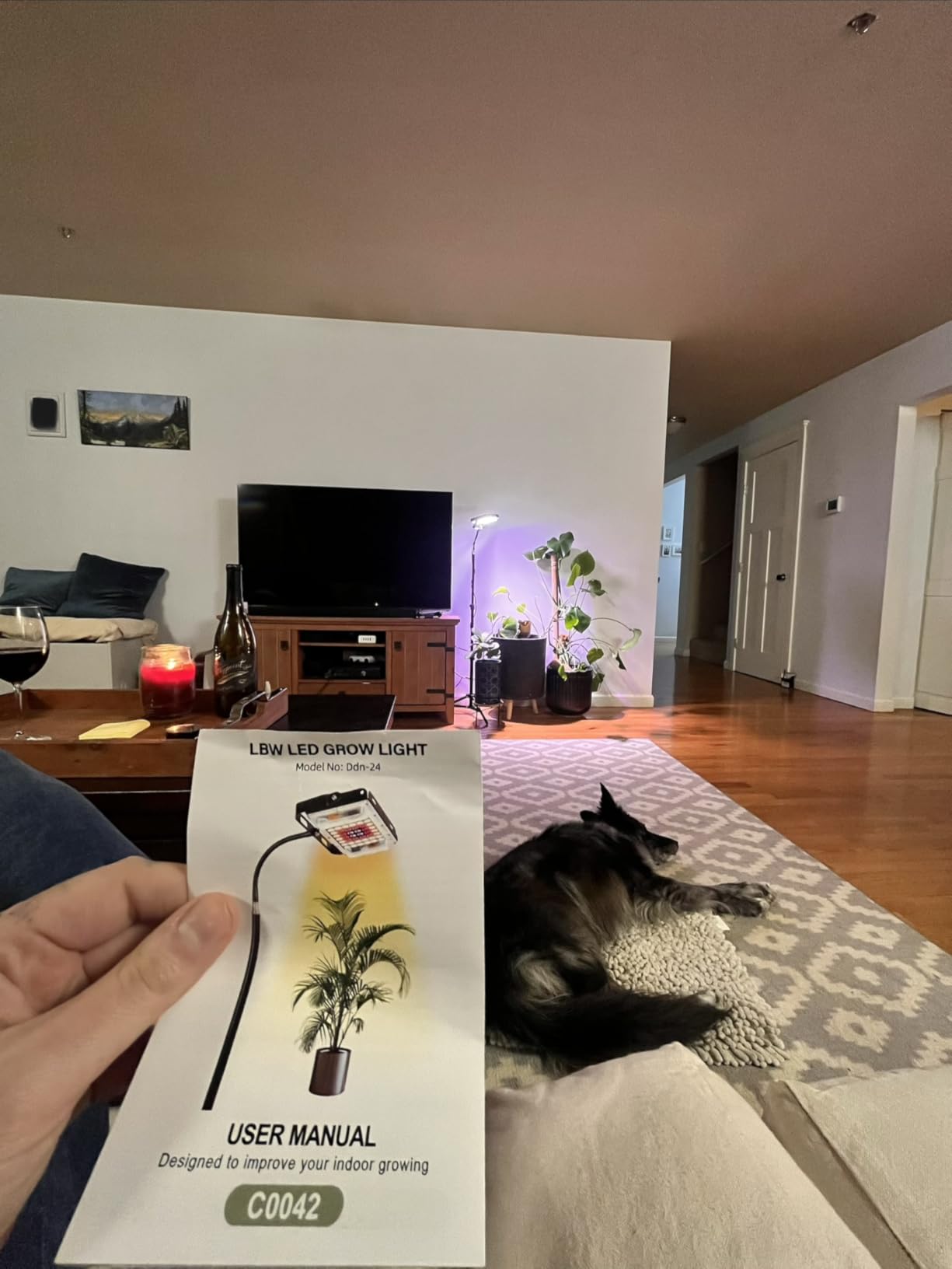 LBW Grow Light with Stand, Full Spectrum Grow Lights for Indoor Plants customer photo 1