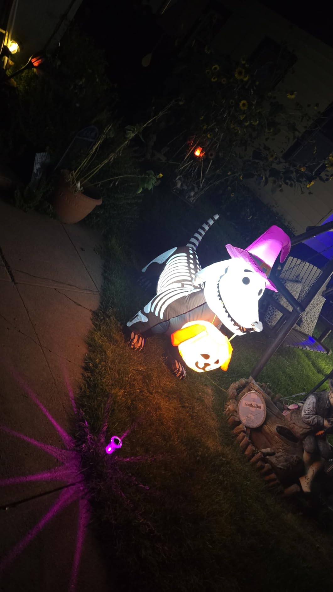 GOOSH 5.5 FT Halloween Inflatables Outdoor Decorations Skeleton Puppy Inflatable Yard Decoration with Build-in LEDs Blow Up Pumpkin for Halloween Party Indoor Outdoor Yard Garden customer photo 2