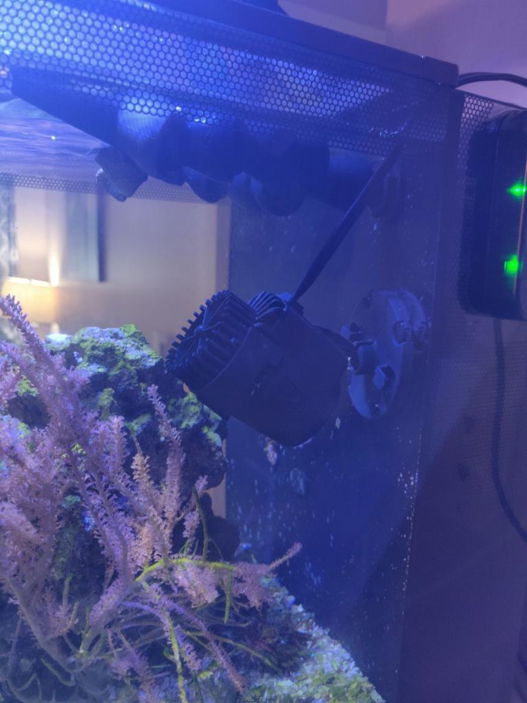 AQQA Wave Maker, 530GPH Aquarium Circulation Pump customer photo 2