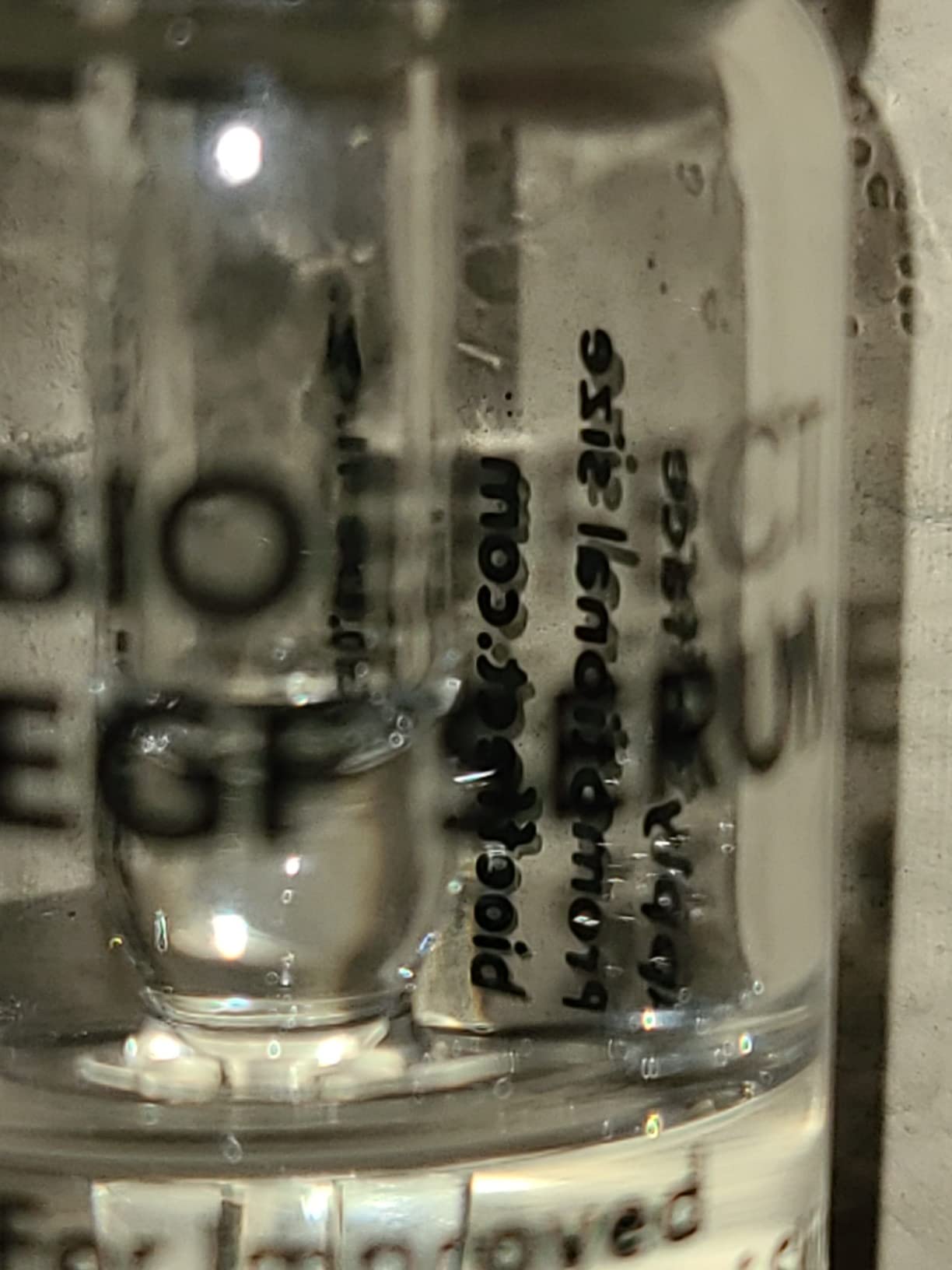BIOEFFECT EGF Serum, Age-Defying Serum | Wrinkles + Smoothness 15 mL/0.5 oz customer photo 2