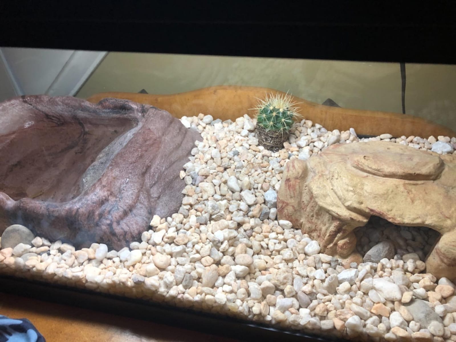 BN-LINK Reptile Heat Pad 6