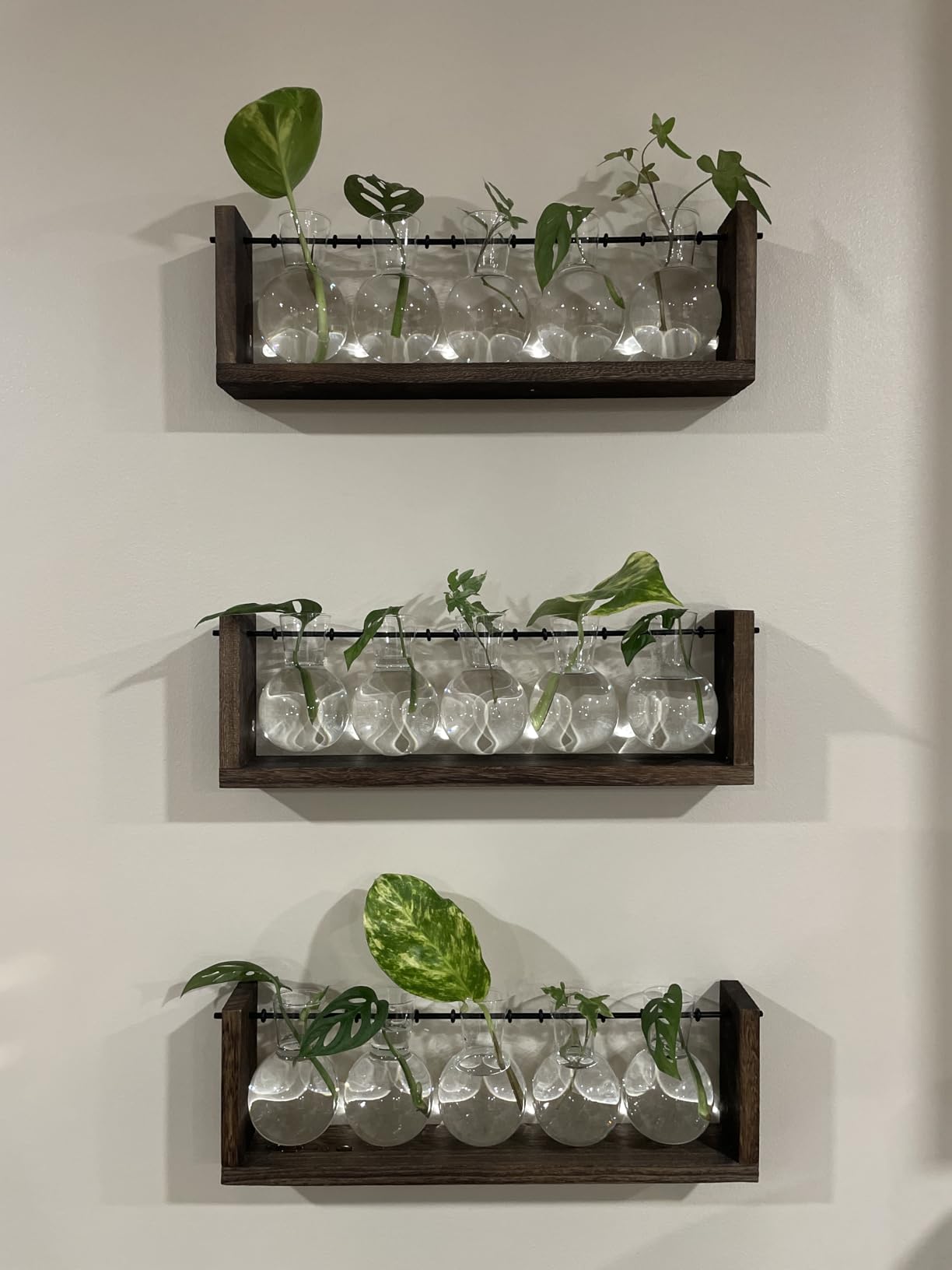 Mkono Plant Propagation Station Hanging Desktop Wooden Stand 3 Vases Holder customer photo 2