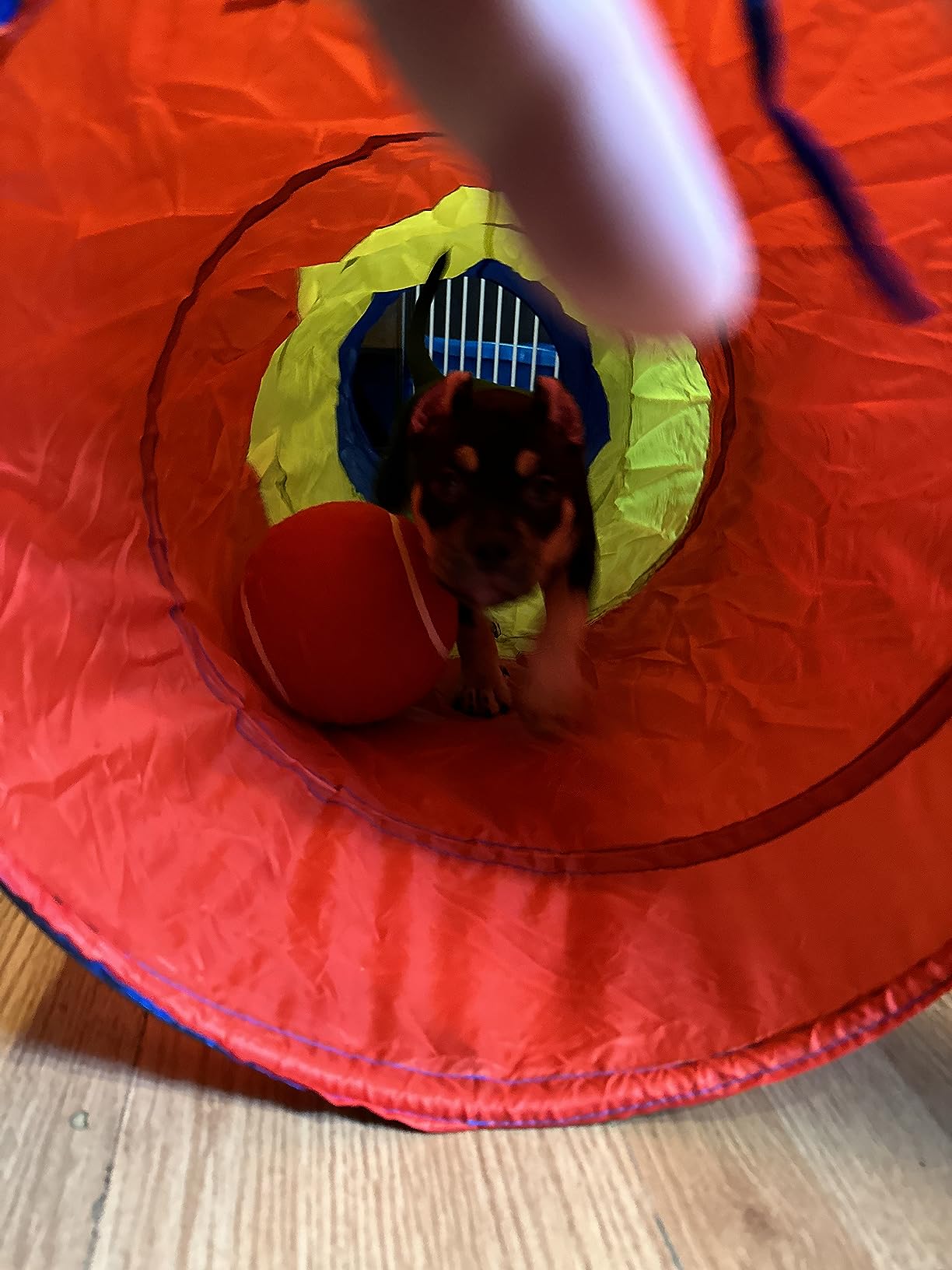 PigPigPen Pop Up Play Tunnel Tent for Toddlers Babies or Dogs, Indoor & Outdoor Toys for Kids Backyard Playset. (Red,Yellow,Blue) customer photo 1